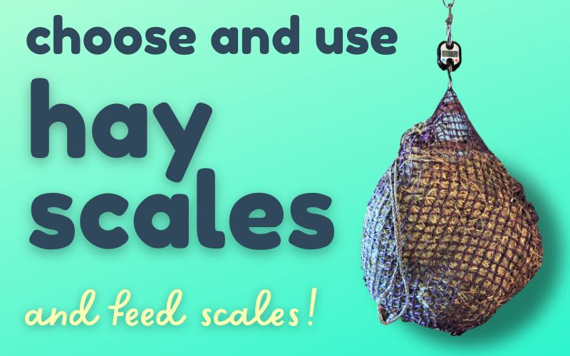 Header image with aquamarine background and deep blue text. A horse hay scale with hay net hangs on right. Text to left reads: Choose and use hay scales and feed scales.