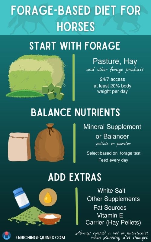 Infographic chart on forage based diet for horses. Dark green background with lighter green header, white text reads: Forage-based diet for horses. Start with Forage: Pasture, hay, and other forage products. Balance nutrients: mineral supplement or balancer. Add extras: white salt, other supplements. Simple illustrations to left of each item listed. 