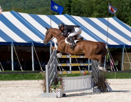 A rider in coat and breeches atop a chestnut horse in flight over a high jump. 