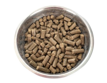 A bowl of horse feed