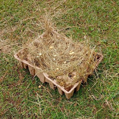 A textured DIY cardboard puzzle for horses with hay, crackers, apples, and peanuts on a grass background.