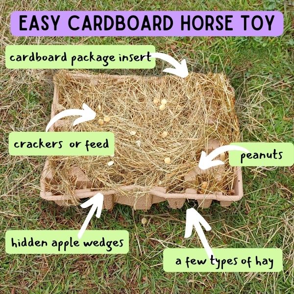 Image of DIY horse enrichment shows cardboard box filled with hay and treats. Overlaid image labels with black text on light green and purple backgrounds with arrows pointing to different elements of the box. Text reads: Easy cardboard horse toy. Cardboard package insert, peanuts, crackers or feed, hidden apple wedges, a few types of hay.