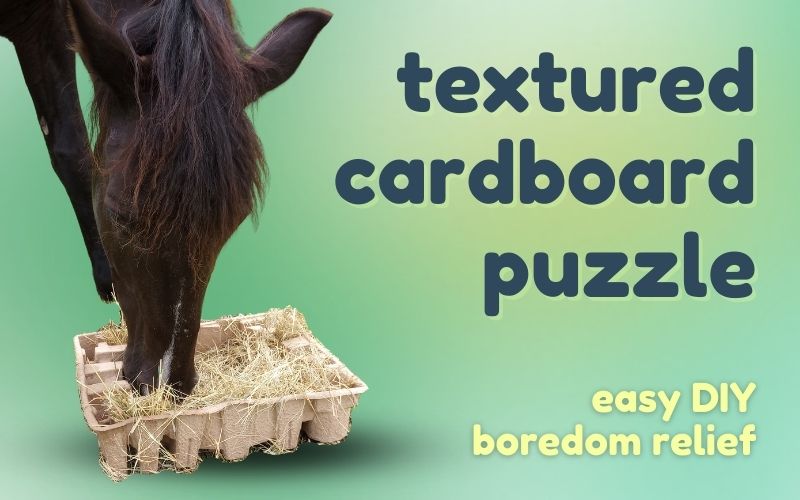 Blog hero image with dark blue text on green gradient background. Text reads: textured cardboard puzzle easy DIY boredom relief. To left, a horse plays with the cardboard toy.