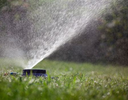 Close up of a sprinkler in a horse pasture.