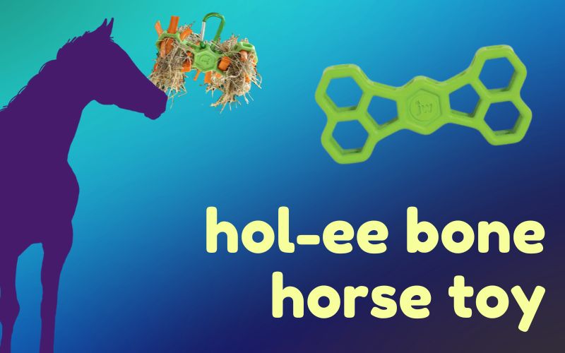 Blue and deep navy gradient background with purple horse silhouette on left. Horse silhouette reaches for a treat filled toy. To right, yellow text reads: hol-ee bone horse toy.