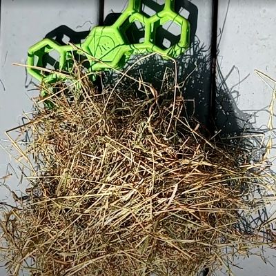 At bottom, a pile of hay. At top, an empty green JW Pet holee dogbone toy. 