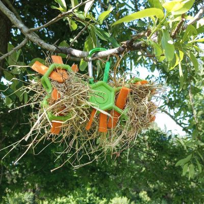 The JW Pet Hol-ee Bone toy ready for horse use, hanging from a tree and full of hay and carrots.