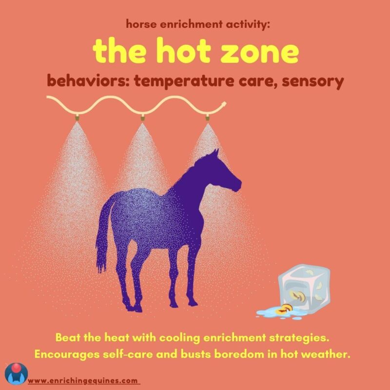 Infographic image with coral orange background and yellow and red text. Silhouette of horse standing in DIY misting system in center and horse ice block to right. Text reads: horse enrichment activity: The Hot Zone. Behaviors: temperature care, sensory.   Beat the heat with cooling enrichment strategies. Encourages self care and busts boredom in hot weather. 