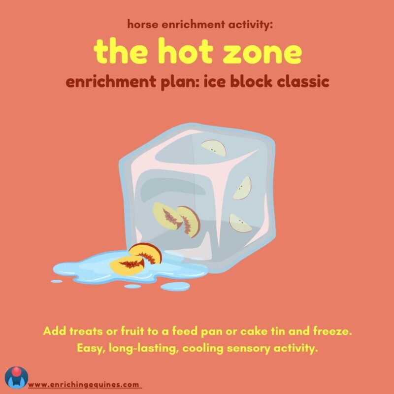 Infographic image with coral red background. Above, red and yellow text reads: The Hot Zone. Enrichment Plan: Ice Block Classic. Image shows graphic art equine ice block with peach slices frozen inside. Below, yellow text reads: Add treats or fruit to a feed pan or cake tin and freeze. Easy, long lasting, cooling sensory activity. 