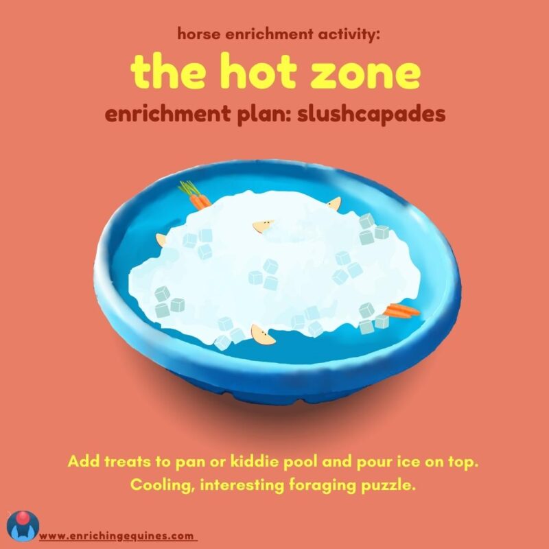 Infographic image with coral red background. Above, red and yellow text reads: Horse enrichment activity: The Hot Zone. Enrichment plan: Slushcapades. 

In center, kiddie pool filled with ice cubes and horse treats. 

Below, text reads: Add treats to pan or kiddie pool and pour ice on top. Cooling, interesting forage puzzle. 