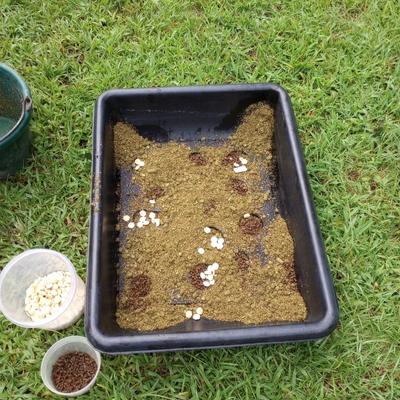 Equine feeding tray with rubber mat insert covered by horse feed and treats