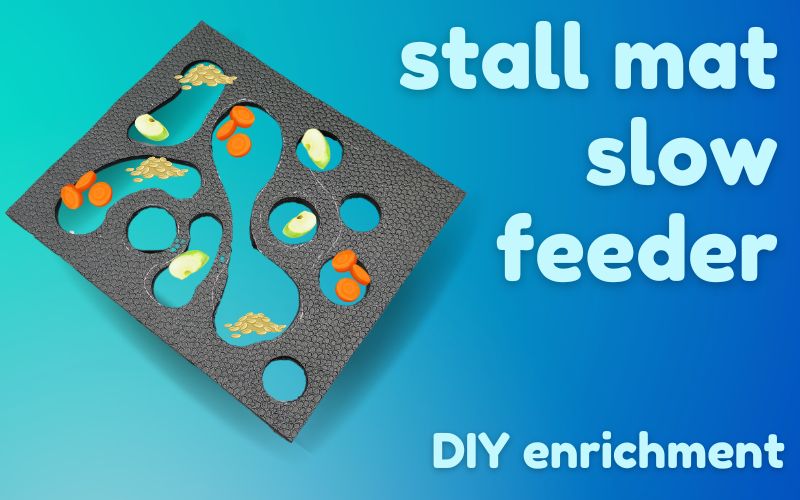 Hero image with light blue text on darker blue gradient background. To left, a horse slow feeder made from a rubber stall mat with carrots, apples, and grain. Text reads: stall mat slow feeder DIY enrichment.