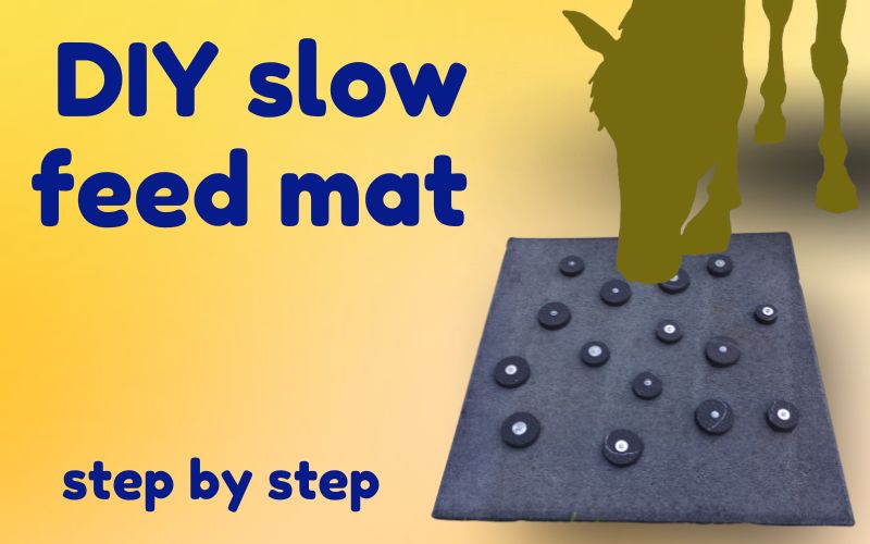 Yellow hero graphic with deep blue text. Text on left reads: DIY slow feed mat step by step. To right, silhouette of horse leans over DIY horse slow feeder rubber mat in foreground. 