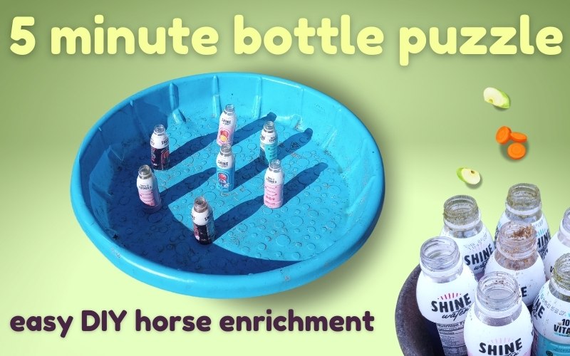 Blog article hero image on pale green background, with yellow and burgundy text. Image in center and lower left shows easy DIY horse toy made from water bottles and treats. Text reads: 5 minute bottle puzzle