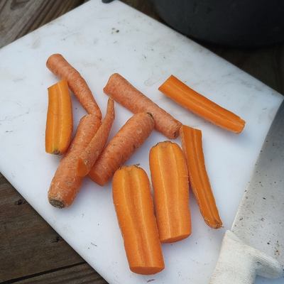 A white cutting board topped with ten long chunky carrot sticks.
