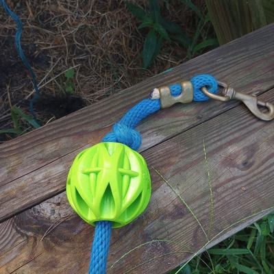 A blue lead rope showing snap end, with green JW Pet Megalast Ball for dogs threaded onto the rope.