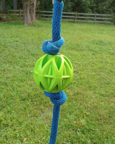 A blue lead rope with green JW Pet megalast ball threaded on and secured with knots in the rope.