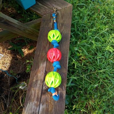 The swinging snack toy for horses against a wooden board and grass background showing blue lead rope and three alternating green, red, and green Megalast balls. 