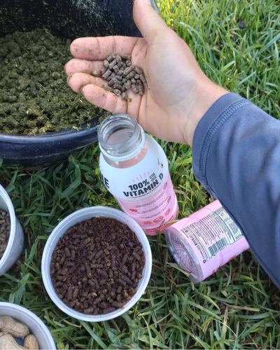 A hand extends from right holding pellets of horse feed as they drop into an empty plastic beverage bottle. In background, another empty bottle with pink label and two small containers of equine feed.