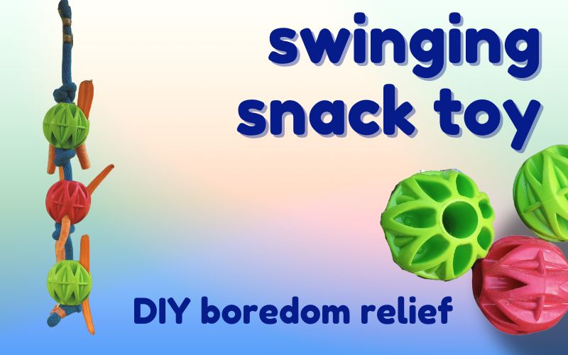 Hero image for blog post has pastel blue and pink background with dark blue text. Text reads: swinging snack toy. DIY boredom relief. To left, picture of swinging snack toy featured in article. To right, image of three JW Pet Megalast ball dog toys. 