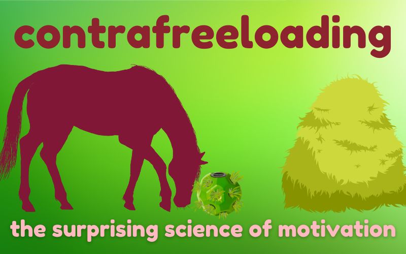 Hero image for blog post on green gradient background with deep brick and light pink text. Text reads: Contrafreeloading, the surprising science of motivation. Image shows contrafreeloading in horses with brick red silhouette of horse using hay ball next to pile of loose hay.
