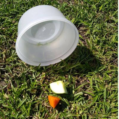 Plastic cup on a grassy surface next to two bites of carrot and cucumber.