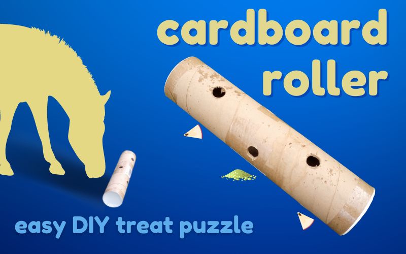 Blog post hero image with blue gradient background and yellow text. Text reads: Cardboard roller easy DIY treat puzzle. Image shows DIY cardboard horse toy and treats next to yellow silhouette of horse with nose next to roller toy.