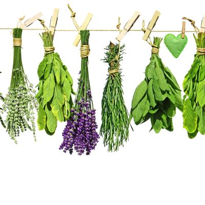 Fresh green herbs hanging from a line by clothespins against a white background.