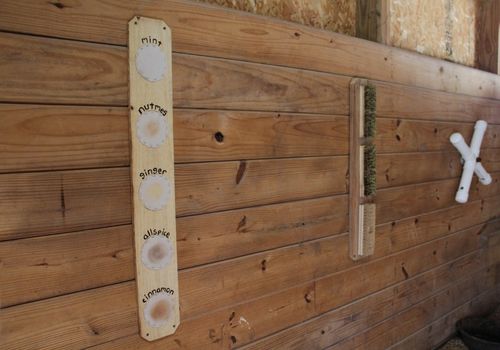 Wall of horse stall with enrichment objects including DIY soft circle scent board, scratching board and spinning slow feed toy