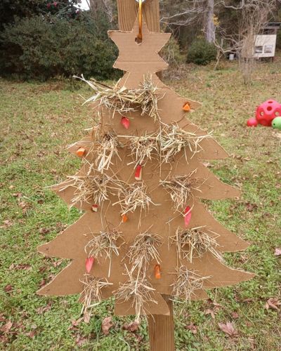 Christmas tree shaped horse browse board hanging from a wooden post, with hay, carrots, and apples.