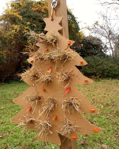 DIY holiday tree Christmas enrichment for horses hanging on a wooden post. The tree shaped browse board is loaded with tufts of hay, carrots, and apples.