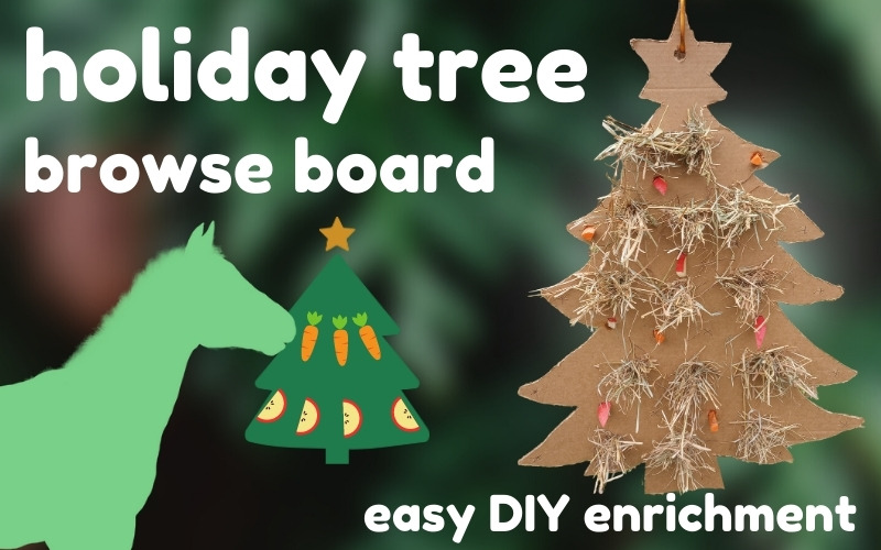 Blog article hero image. Blurred Christmas tree background with white text reads: holiday tree browse board. Easy DIY enrichment. On right, image of cardboard browse board with hay and carrots. On left, silhouette of horse exploring graphic of tree with carrots and apple.