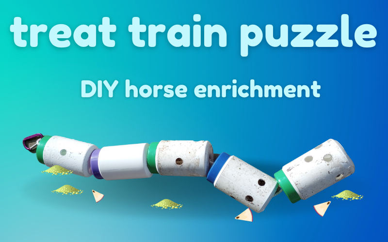 Blog post hero image has blue gradient background and pale blue text. Text reads: Treat train puzzle DIY horse enrichment. Image of horse puzzle feeder made of jars or canisters with treats falling out of holes.