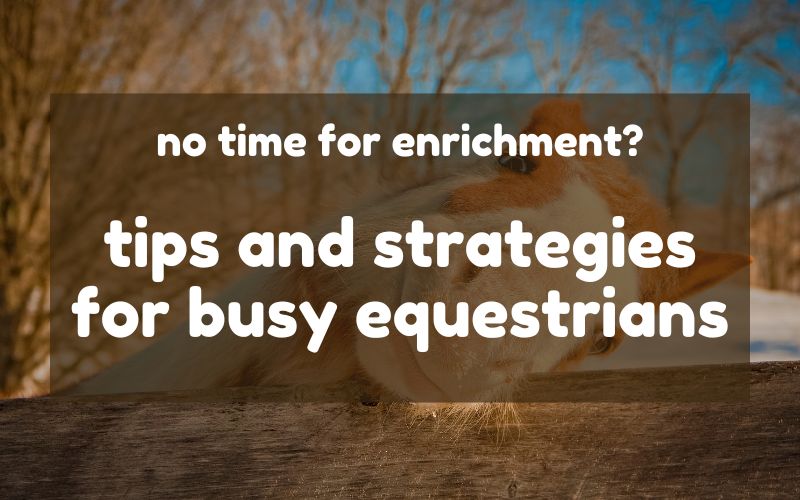Blog hero image with blurred picture of a happy horse. Overlaid text read: No time for enrichment? tips and strategies for busy equestrians.