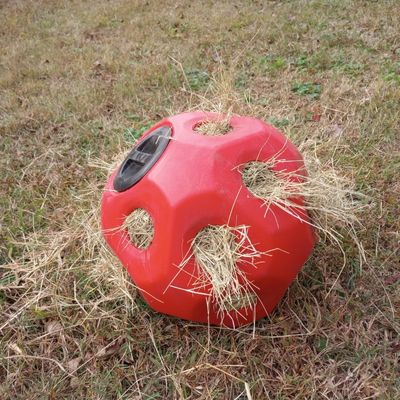 A red Hay play ball from Parallax Equestrian on the ground, full of hay, showing an ideal hack for those too busy for equine enrichment