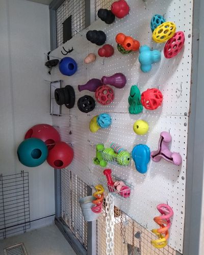 A pegboard assembly for animal enrichment, making equine enrichment possible for busy equestrians. The toys are clean and colorful. 