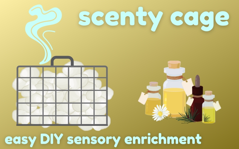 Blog article hero image features digital art of scent cage for equine enrichment on tan background. Text reads: scenty cage. Easy DIY sensory enrichment. 
