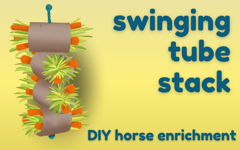 Blog hero image with yellow background and blue text. To left, digital image of cardboard tube treat toy for horses with hay and carrots. Image reads: Swinging tube stack  DIY horse enrichment. 