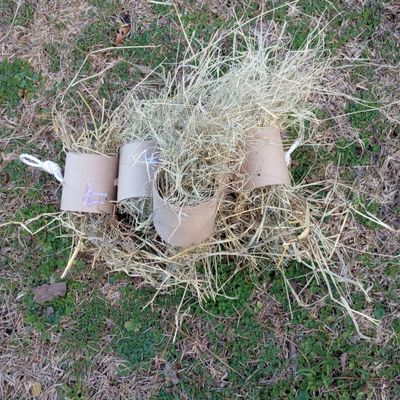 Cardboard tube treat toy stuffed with plenty of hay, on the ground.
