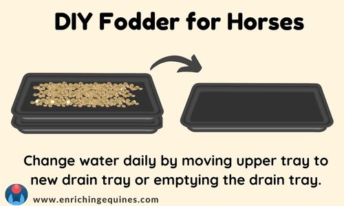 Graphic showing how to replace drainage tray to make DIY fodder for horses. 