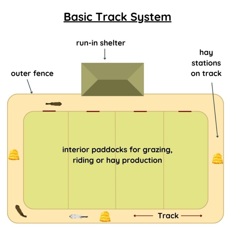 An enriched environment for horses featuring a simple track system. Digital illustration shows overhead of horse track paddock with labeled regions of track. 