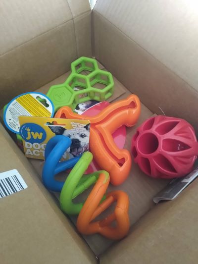 Close up of box of dog toys in a cardboard shipping box, featuring JW Pet and KONG items.