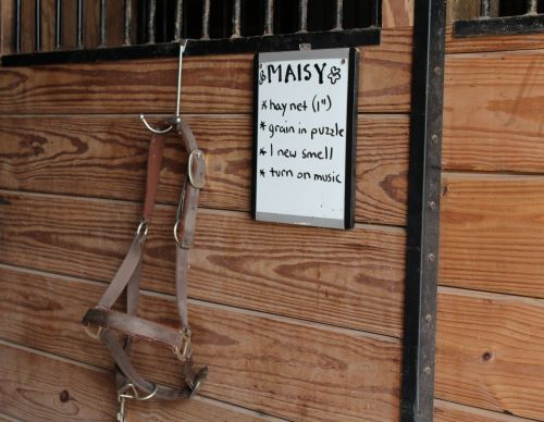 Dry erase board on horse stall. Board has enrichment schedule for the horse inside. 