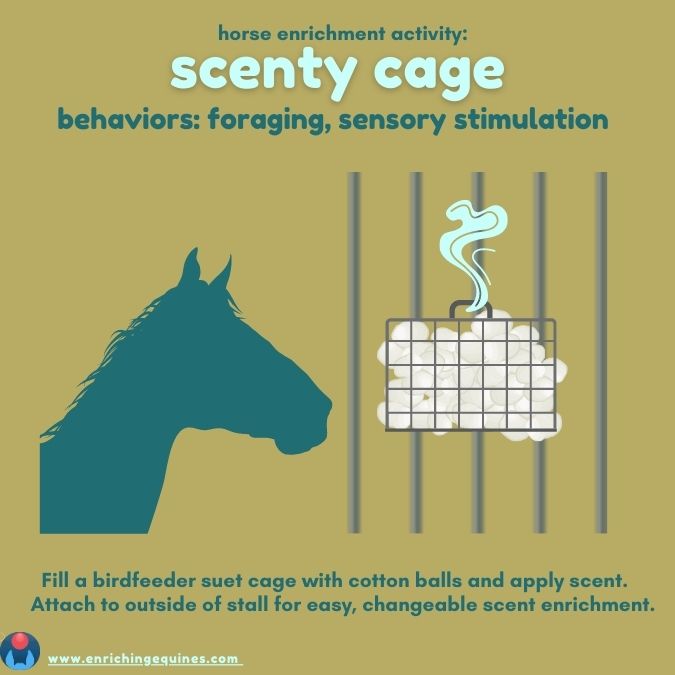 Digital image of scent cage horse enrichment activity. Digital art shows horse smelling the sensory enrichment.