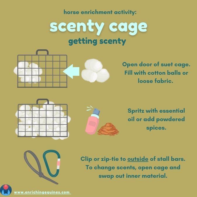 Digital illustration showing instructions for creating DIY scent cage sensory enrichment for horses. 
