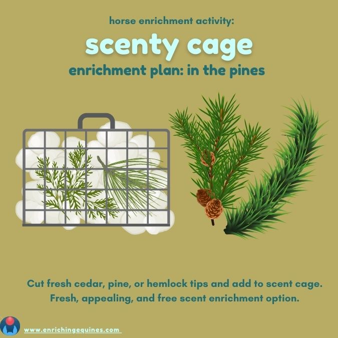 Digital illustration of pine needles in DIY horse scent cage enrichment. 