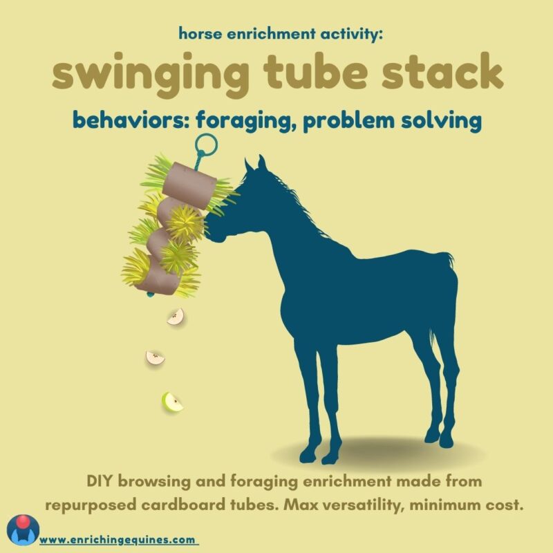 Graphic of horse enrichment item. Yellow background with dark yellow and blue text. Text reads: swinging tube stack. behaviors, foraging problem solving. DIY browsing and foraging enrichment made from repurposed cardboard tubes. Max versatility, minimum cost. Image shows horse silhouette playing with cardboard toy. 