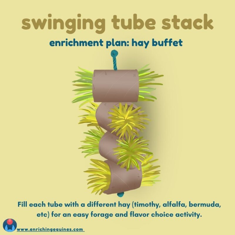 Graphic of horse enrichment item. Yellow background with dark yellow and blue text. Text reads: swinging tube stack. Enrichment plan: hay buffet. Fill each tube with a different hay, timothy, alfalfa, bermuda, etc for an easy forage and flavor choice activity. 