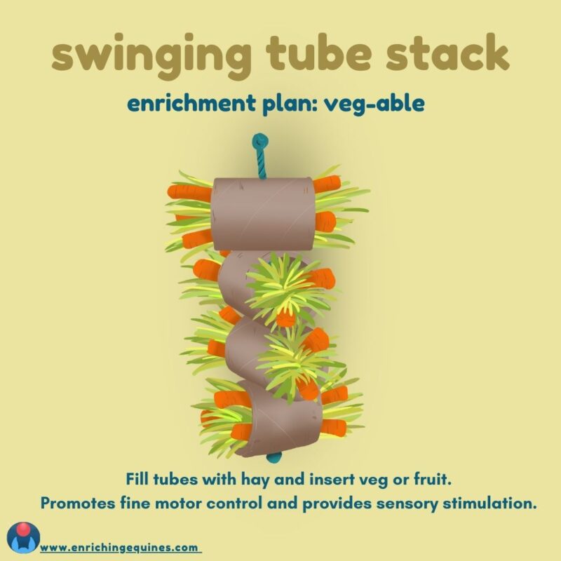 Graphic of horse enrichment item. Yellow background with dark yellow and blue text. Text reads: swinging tube stack. Enrichment plan: veg-able. Fill tubes with hay and insert veg or fruit. Promotes fine motor control and provides sensory stimulation. Image shows a horse toy enrichment item made of cardboard tubes with hay and vegetable chunks.