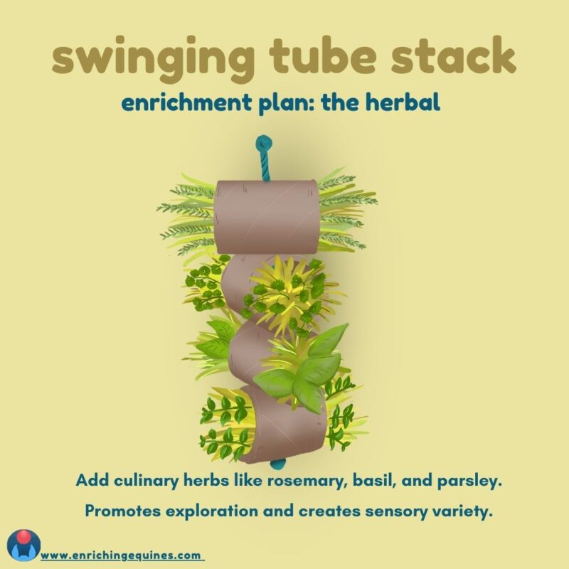 Graphic of horse enrichment item. Yellow background with dark yellow and blue text. Text reads: swinging tube stack enrichment plan: the herbal. Add culinary herbs like rosemary, basil, and parsley. Promotes exploration and creates sensory variety. Graphic shows illustration of herbs in a hanging horse toy made of cardboard tubes.